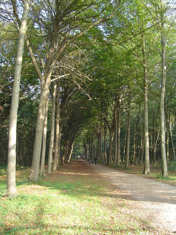 'ZAND' zeeland sky recreatie Westkapelle Exterior foto